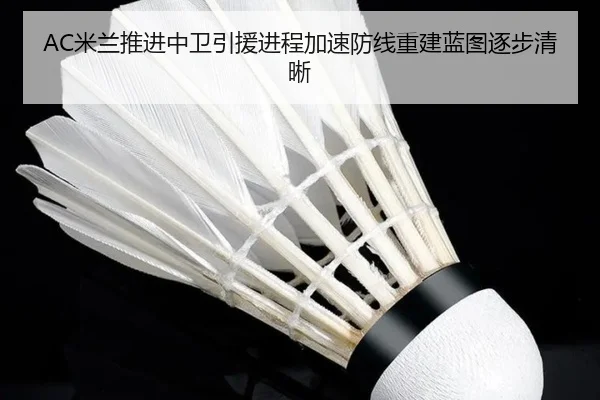 AC米兰推进中卫引援进程加速防线重建蓝图逐步清晰