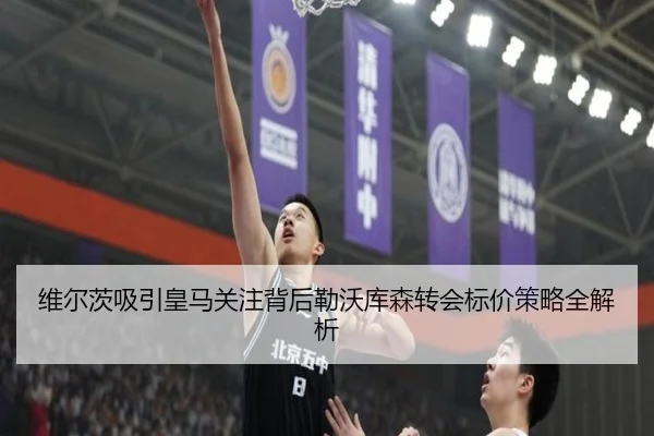维尔茨吸引皇马关注背后勒沃库森转会标价策略全解析